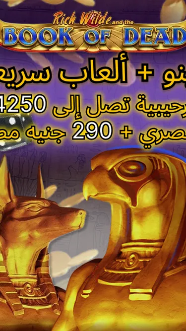 MELBET Screenshot